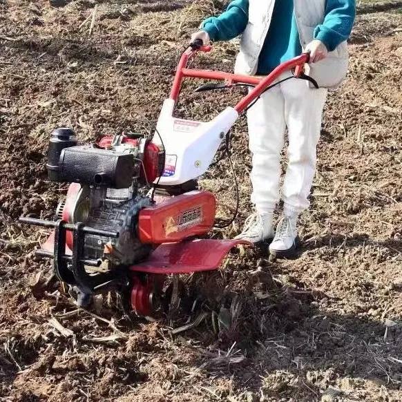 Meistverkaufter Bester Bodenfr – Organic Farming Of Agriculture Bewertung und Preis